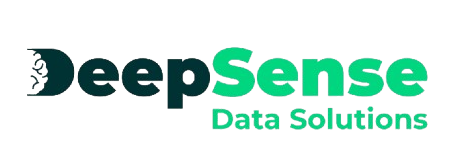 Deepsense Data Solutions 